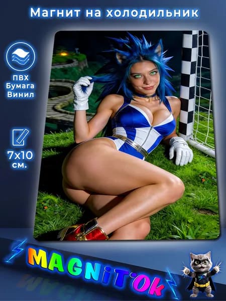 Магнит на холодильник, Sonic_Girl