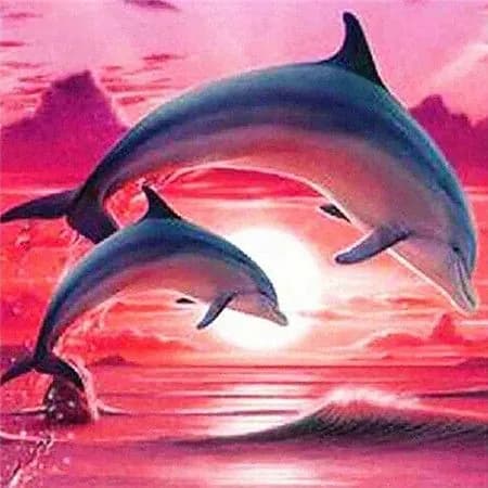 Алмазная мозаика картина стразами Два дельфина на закате/Размер холста 30х30 см/Размер картинки 25х25 см
