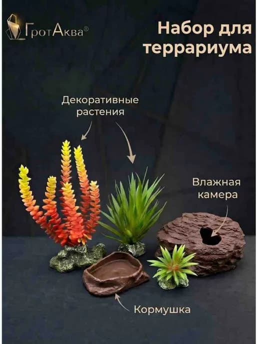 Влажная камера, кормушка - поилка, растения