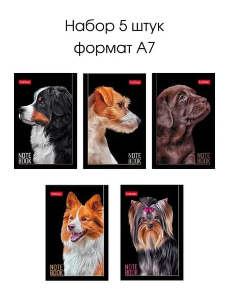 Мини блокнот Портрет лучшего друга 5 шт