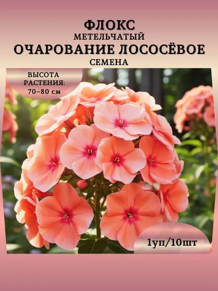 Флокс метельчатый "Очарование Лососёвое" семена, 1 пачка