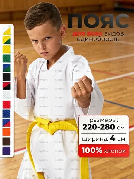Пояс для единоборств