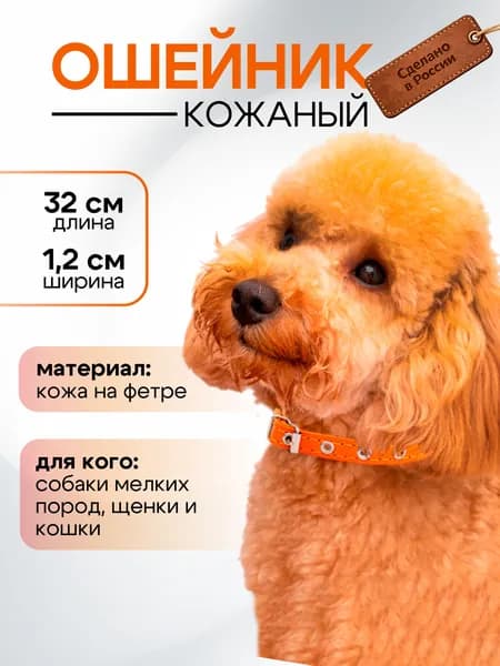 Кожаный ошейник для собак, двухслойный, оранжевый, 12-32 см, ширина 1,2 см