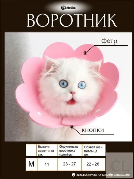 Эксклюзивный оранжевый конус Mразмера для кошек и миниатюрных собак, розовый защитный воротник, используемый в ветеринарии