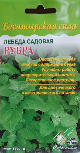 Лебеда Садовая Рубра, лекарственное растение с высоким содержанием белка для диетического и вегетарианского питания, 20 семян