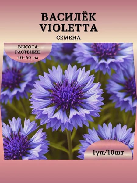 Василёк "Violetta" семена, 1 пачка