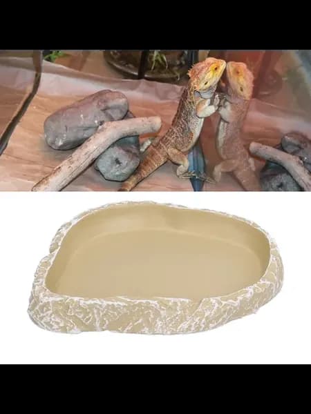 Миска для корма рептилий