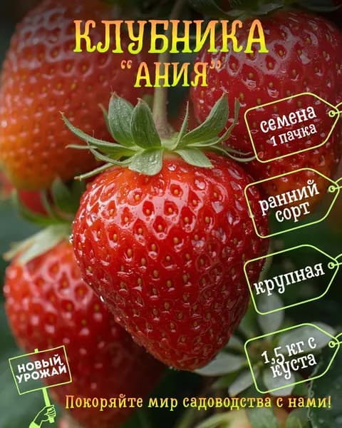Клубника (ремонтантная) Ания, семена, 10 шт.