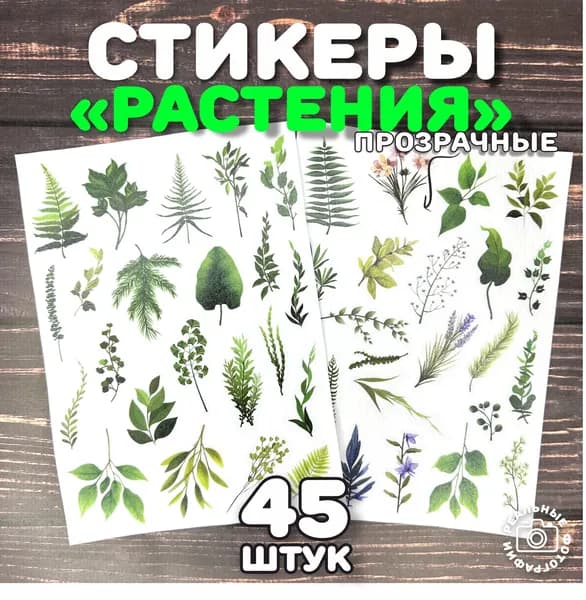Набор наклеек и стикеров для телефона и ноутбука, украшенный изображениями растений и листьев. Идеален для скрапбукинга, заметок и творчества для детей и девочек.