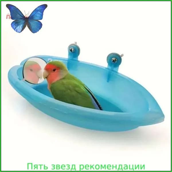 Ванночка для животных