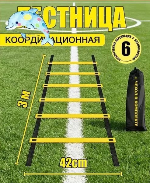 Лестница координационная + чехол, 3 метров, 6 перекладин