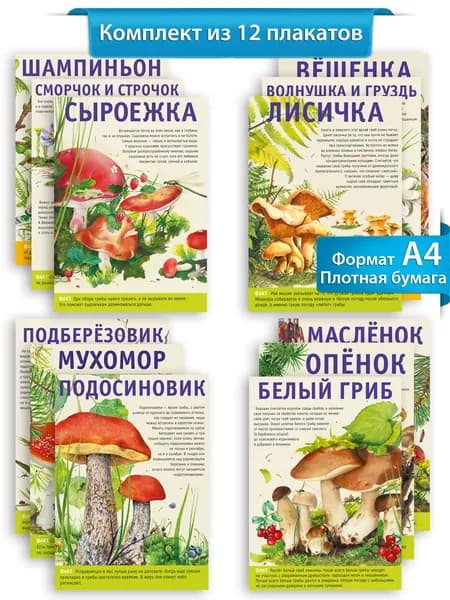 Набор обучающих плакатов для детей Грибы 12 шт формат А4