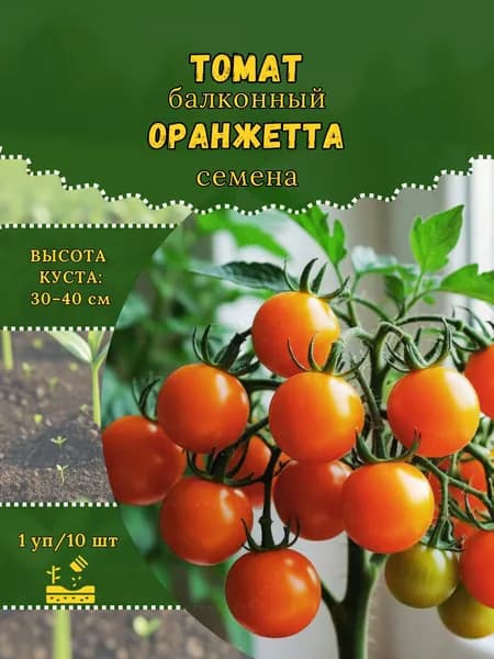 Томат "Оранжетта" семена, 1 пачка