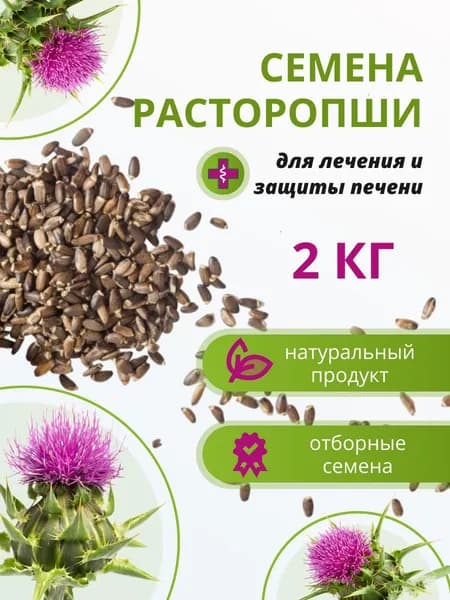 Расторопша семена для проращивания - 2 кг / Семена расторопши для лечения печени