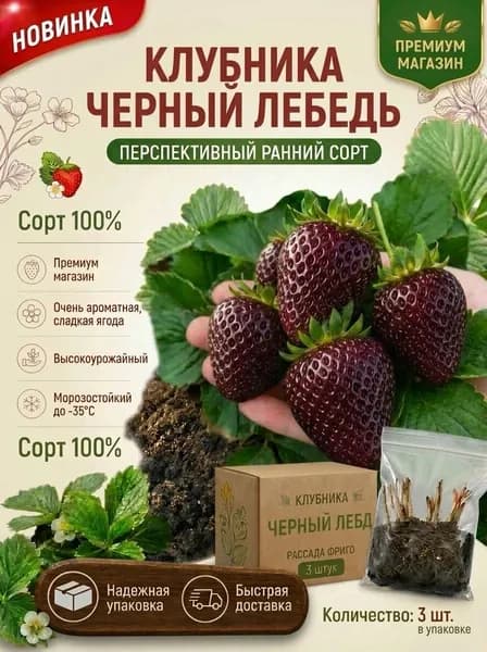 Клубни Клубника 0.28 кг