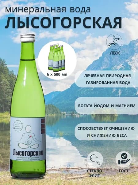 Минеральная вода Лысогорская газированная лечебная с магнием, для похудения 0,5л х 6 шт.