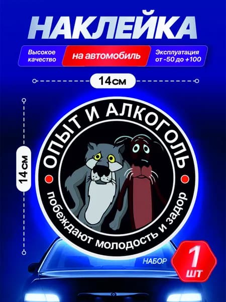 Наклейка интерьерная Опыт и алкоголь 14х14