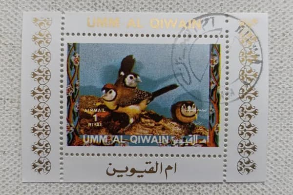 Марка фауна Вьюрок ОАЭ Умм аль-Кайвайн 1970-е годы