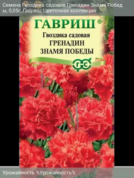 Семена Гвоздика садовая Гренадин Знамя Победы 0,05г