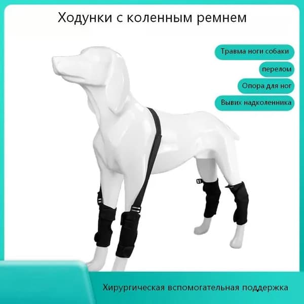 Наколенник для собак, фиксатор сустава от облизывания при травмах