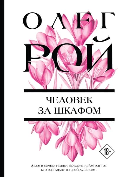 Книга Человек за шкафом