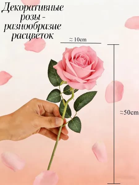 Стабилизированные цветы 50 см розовый