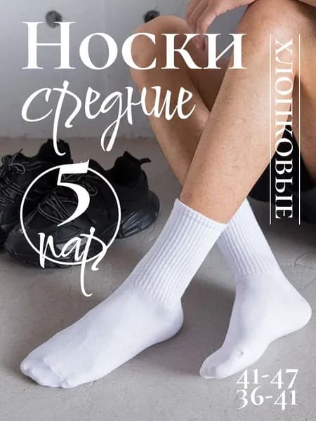 Носки мужские Носки РАЯНА мужские, 5 пар, 5 пар