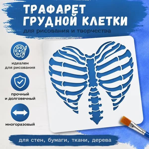 Трафарет грудной клетки человека (ребра), анатомический шаблон для рисования, 1 шт