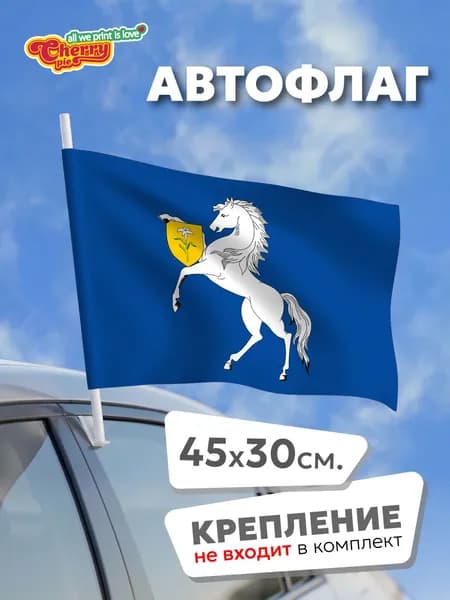 Флаг 45x30 Чертаново Северное (Москва) (2004 г.)