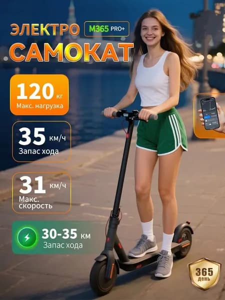 Электросамокат F774BDC2A5284D99AF4A765E1245A73E, черный