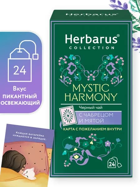 Чай черный с добавками Herbarus, Чабрец Мята, 24 пак. Коллекция Mystic Harmony/ Мистик Хармони.
