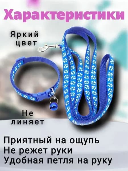 Поводок и ошейник для собак мелких пород щенков и кошек синего цвета
