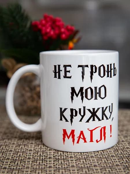 Дольмира Кружка "Не тронь мою кружку, магл!" 330 мл 1 шт
