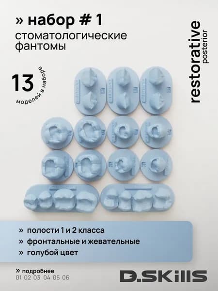 SET #1 Модели зубов для реставрации