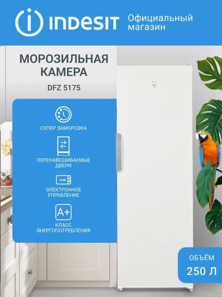Морозильная камера Indesit DFZ 5175, No Frost, 250 л, белый