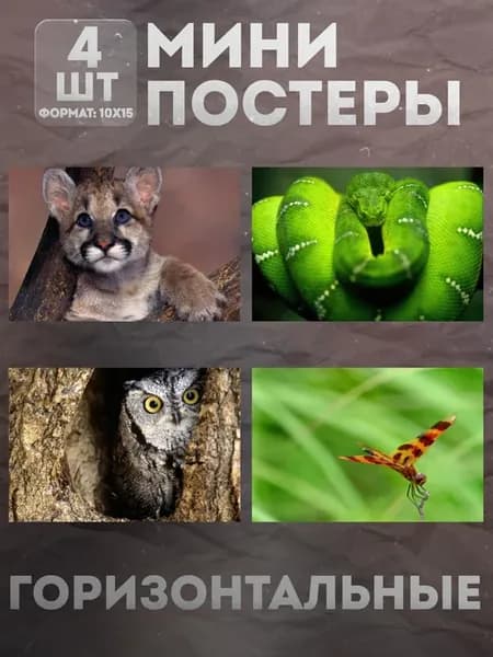 Мини постеры 10 на 15 (набор) «Животные» 4 шт