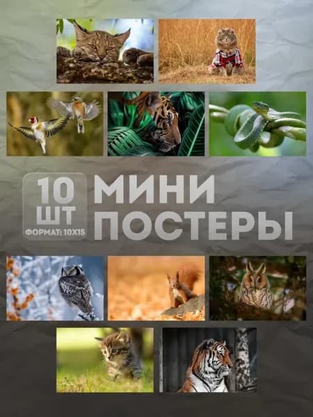 Мини постеры (набор) «Животные» 10 шт