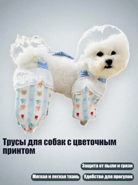 Трусы для собак с цветочным принтом, - S