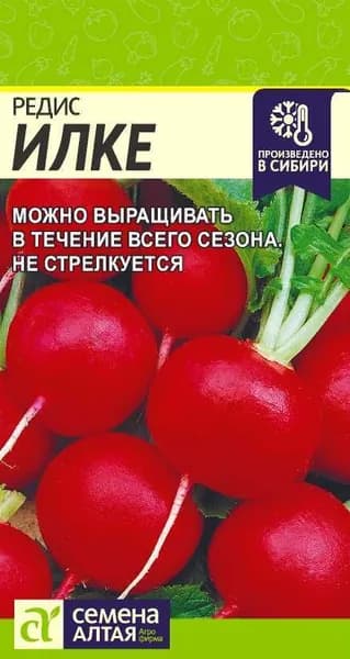 Семена Редис Илке/Семена Алтая/цп 2 гр.