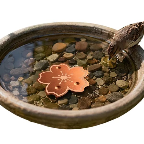 Медный диск для очистки воды в птичьей купалке, 10 10 см