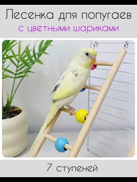 Лесенка с шариками 7 ступеней для попугаев и других птиц