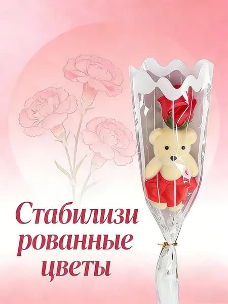 Стабилизированные цветы Пионовидная роза