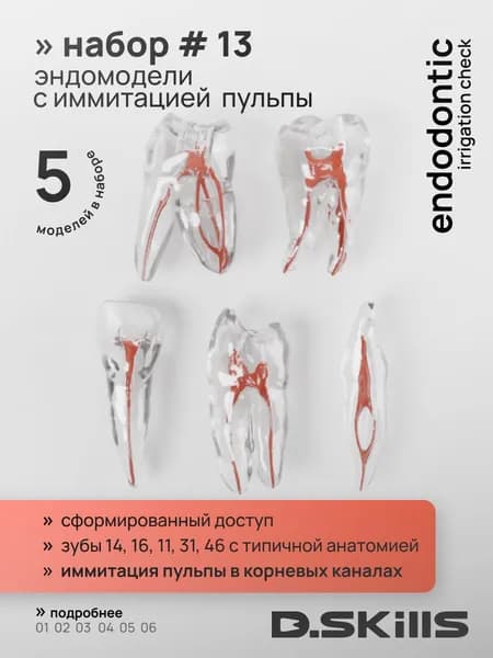 Эндомодели зубов с имитацией пульпы (эндоблоки), 5 шт.