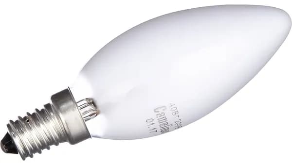 Электрическая лампа накаливания с матовой колбой MIC Camelion 40/B/FR/E14, 9864