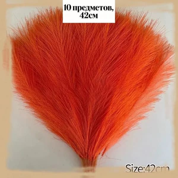 Сухоцветы Камышовая трава 20 г 1 шт красный
