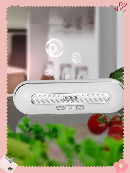 Озонатор PP-KC00985-250607L-25