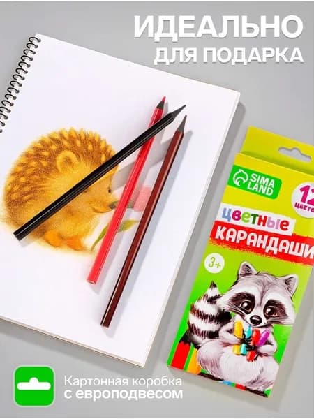 Набор карандашей, 12 шт.