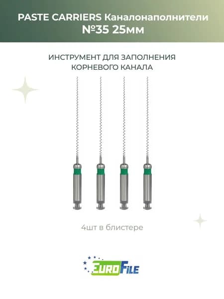 Каналонаполнители Paste Carriers 25мм №35, 4шт, Еврофайл