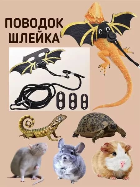 Тяговая веревка для ящериц, карабкающийся питомец, кожаные крылья, 18х4 см, черное золото