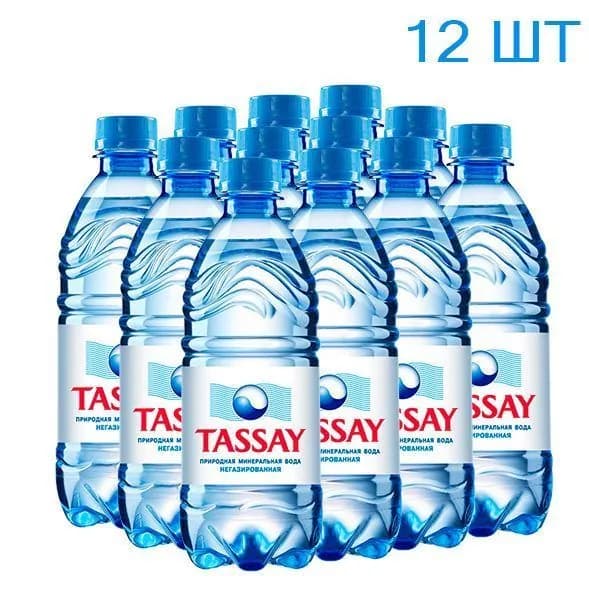 Вода питьевая TASSAY негазированная (Тассай) 0,5л х 12шт